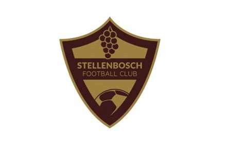 who owns stellenbosch fc